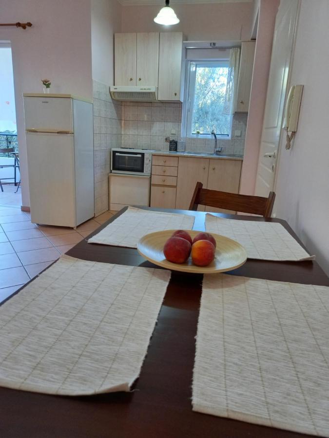 Appartamento Olivo Nydri Esterno foto