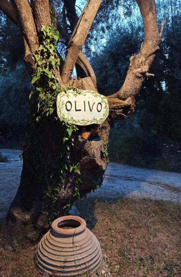 Appartamento Olivo Nydri Esterno foto