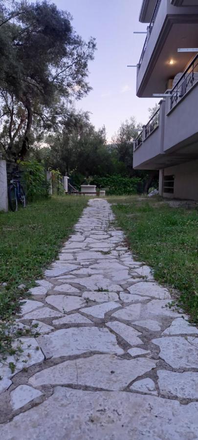 Appartamento Olivo Nydri Esterno foto